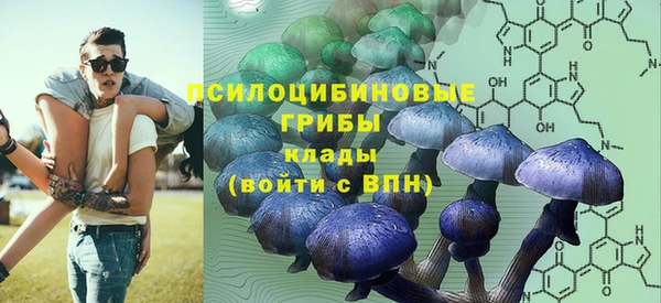 меф Алексин