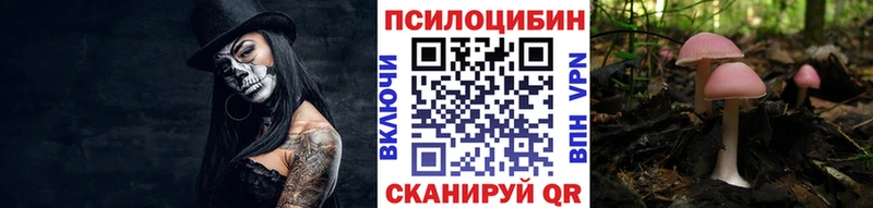Галлюциногенные грибы Magic Shrooms omg маркетплейс Енисейск